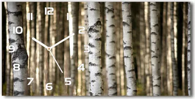 Produktbild von Wanduhr aus Glas – 60x30 cm - Glasbild - Glasuhr - Gehärtetes Glas - weisse-zeiger - Birken