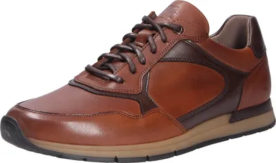 Immagine prodotto di Scarpe da ginnastica da uomo Pius Gabor, marrone (cognacmocca (03)), misura 8