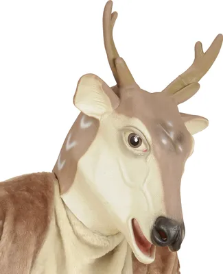 Image de Masque Rentier