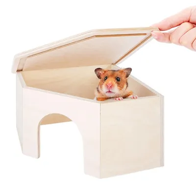 Produktbild von Hamsterhaus Hamsterhütte Hamsterversteck - Kletterrampe und Höhle - 5,3 cm Eingang - Birkensperrholz