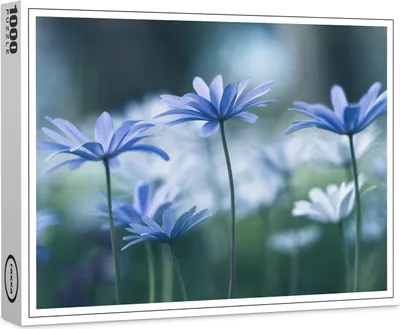 Image de puzzle raxxa Premium "Heure bleue", 1000 pièces