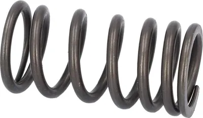 Obrázok produktu pre Pružina ventilu FEBI 187757