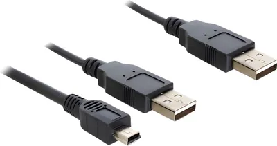 Image de DELOCK USB Y-Kabel 2x A -> mini B St/St 0.30m
