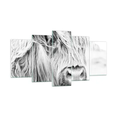 Produktbild von Bilder auf glas - 5 Teile - Kuh Scotch Tier - 160x85cm - Glasbilder - Wandbilder - Bilder - zum Aufhängen bereit - Wanddekoration aus Glas - Glas Bilder - Wandbild auf Glas - GEA160x85-5129