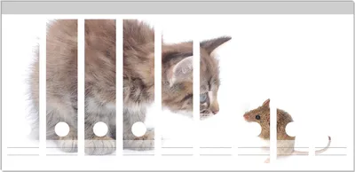 Produktbild von Wallario Ordnerrücken Sticker, selbstklebend für breite Ordner, 9 Stück, Motiv Katze und Maus beim Spielen - weißer Hintergrund