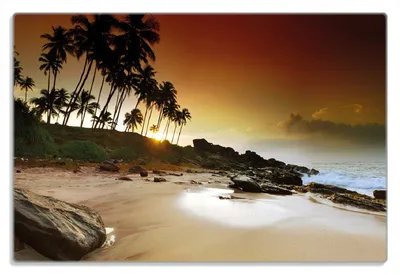 Produktbild von Wallario Frühstücksbrettchen aus Glas 20 x 30 cm mit rutschfesten Füßen, Motiv Sri Lanka - Palmenstrand mit Sonnenuntergang