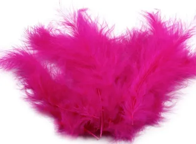 Produktbild von 15-20 Flaumfedern 09-17cm gefärbt Bastelfedern Schmuckfedern Feder Farbwahl, Größe:09 - 17 cm, Farbe:22 neonpink