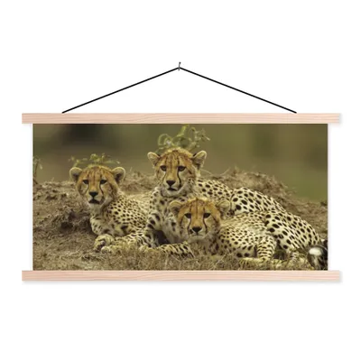 Produktbild von MuchoWow® Textilposter Junge Gepardenjunge 120x60 cm mit holzfarbenen Rahmen - Klemmleiste