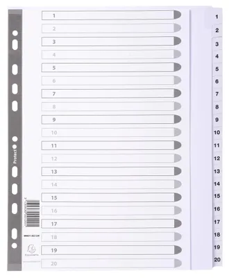 Image de Exacompta index plastifié 20 onglets 1 à 20 DIN A4 Maxi Blanc