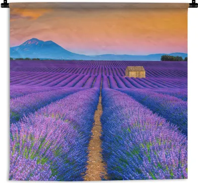 Produktbild von MuchoWow® Wandteppich Wandbehang Lavendel - Lila - Blumen 120x120 cm Tapisserie Dekoration Wandtuch - Modern - Baumwollgewebe