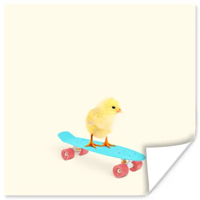 Produktbild von MuchoWow® Poster Küken - Gelb - Skateboard - Blau - Tiere 50x50 cm - Wohnzimmerdekoration