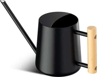 Image de Petit arrosoir en acier inoxydable avec long bec verseur pour plantes d'intérieur, 1 000 ml