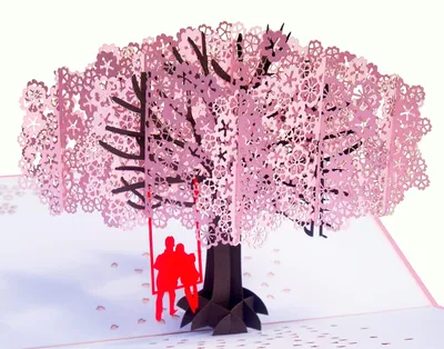 Pop-up-Karte Kirschblüte, 3D, 20x15 cm, für Anlässe