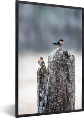 Produktbild von MuchoWow® MuchoWow® Gerahmtes Poster Vogel - Baumstamm - Winter 60x90 cm - Poster mit zchwarzem Bilderrahmen - Kunst