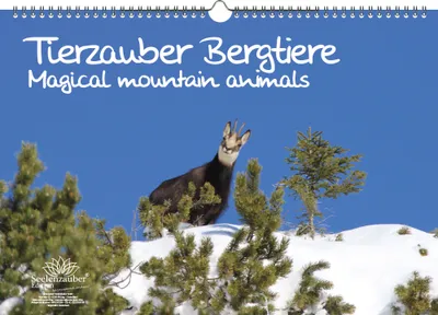 Produktbild von Tierzauber Bergtiere DIN A3 Kalender - Immerwährender Kalender  - Seelenzauber