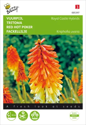 Produktbild von Samen - FACKELLILIE ´ROYYAL CASTLE HYBRIDS´
