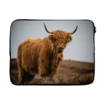 Produktbild von MuchoWow® Laptop Hülle 17 Zoll Laptoptasche Schottischer Highlander - Düne - Gras - Zipper - Schutzabdeckung