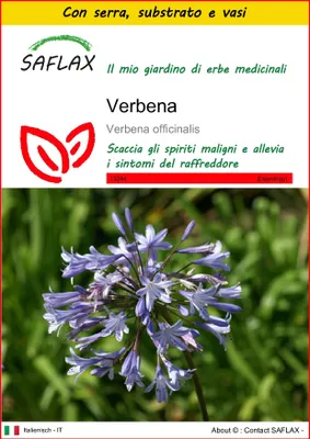 Immagine prodotto di SAFLAX Insieme di coltivazione - Verbena - 250 semi - Verbena