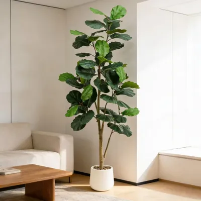 Image de Figuier artificiel, 180 cm, grandes plantes artificielles, plantes en pot en plastique pour l'intérieur et l'extérieur, plantes artificielles dans des pots blancs pour la décoration des salons et des chambres à coucher