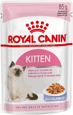 Produktbild von Royal Canin Fhn Kitten Instinctive in Jelly - Mokré krmivo pro koťata - 12X85G