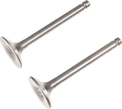 Obrázek produktu pro Ventily motoru Loncin cpl. LC3000i LC165F-3H ORIGINÁLNÍ DÍL 500550092-0001