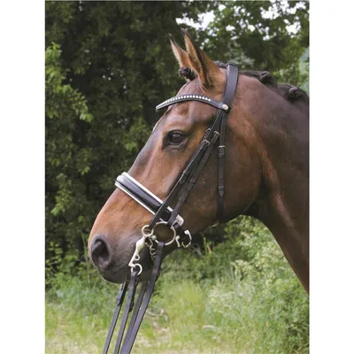 Produktbild von Hans Melzer Kandare Hamburg LACK schwarz/silber Pony