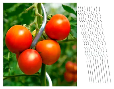 Produktbild von 10er Set Tomatenspiralstab 150 cm