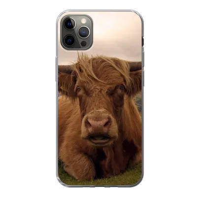 Produktbild von MuchoWow® Handyhülle Schutzhülle Hülle für iPhone 13 Pro Max Schottischer Highlander - Tiere - Berg Silikon Softcase Handy Hülle - Mobiltelefon