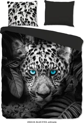 Productafbeelding van Pure Dekbedovertrek Micropercal Blue Eyes - anthracite 200x200/220cm