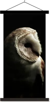 Produktbild von MuchoWow® Textilposter Eule - Vogel - Porträt 40x80 cm mit schwarzem Rahmen - Wandemalerei