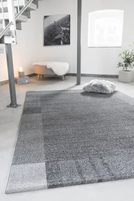 Image de Tapis moderne andiamo, à poils courts, élégant et robuste, facile d'entretien