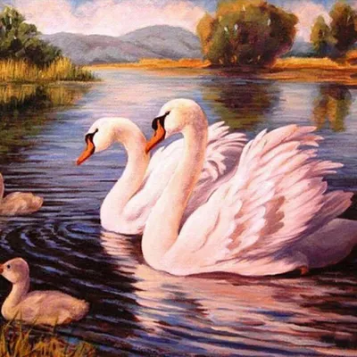 Obrázok produktu pre Obraz podľa čísel, "Labutie rodina na jazere", 40x50 cm, s rámom, kreatívna sada