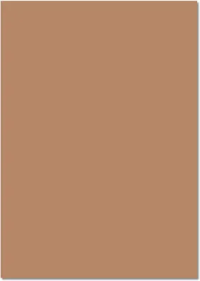 Produktbild von Folia Fotokarton 300g/m² - 50x70cm Rehbraun 25 Bogen