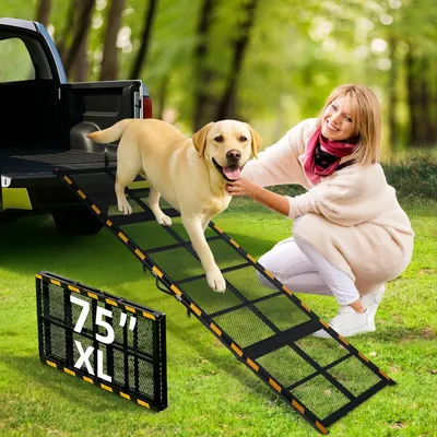 Produktbild von Auto-Hunderampe für große Hunde, 190 cm lang und klappbar