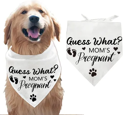 Imagen del producto de Pañuelo para perros, de algodón, blanco, 78x55 cm, para perros grandes