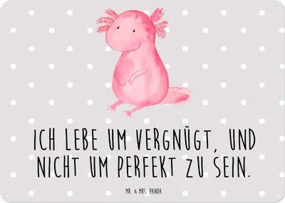 Produktbild von Mr. & Mrs. Panda Schild Axolotl Niedlich DIN A5 - Grau Pastell - Geschenk, Weisheit, Blechtafel, Magnetschild, tafel, Lebensweisheit, Liebe, Freundin, Wandbild, Fröhlich