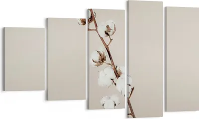 Produktbild von Bild auf Leinwand - Leinwandbild - 5 Teile - Baumwolle Zweig Boho - 100x60cm - Wand Bild - Wanddeko - Wandbilder - Leinwanddruck - Bilder - Wanddekoration - Leinwand bilder - Wandbild - EG100x60-4730