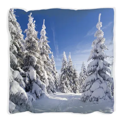 Produktbild von Wallario Premium Kissen, weiche Oberfläche, mit Motiv Wanderweg im Schnee, Größe: 40 x 40 cm, mit weißer Rückseite