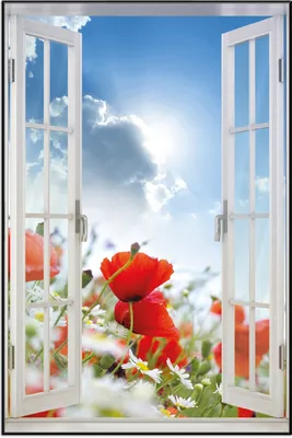 Produktbild von Wallario Wandbild mit Fenster-Illusion: Mohnblumen unter blauem Himmel, Größe: 61 x 91,5 cm, Poster mit schwarzem Aluminiumrahmen
