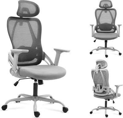 Immagine prodotto di Sedia ergonomica da ufficio con supporto lombare - Grigia