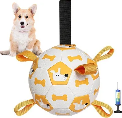 Produktbild von Interaktives Hundespielzeug - Hundefußball mit Griffen und Pumpe - Hundespielzeug Fußball für Hunde - Wasserspielzeug für kleine und mittelgroße Hunde - Weiß, 15 cm