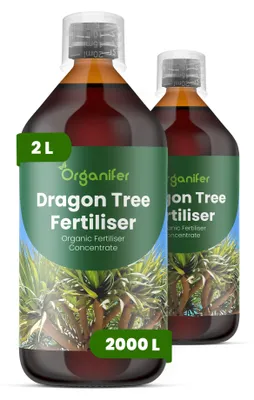 Obrázok produktu pre Dracéna, tekuté hnojivo 2x1 L – vzorec NPK 2-1-8 – pre zelené rastliny – pre zdravé listy a silný rast – podporuje korene a vitalitu – organické