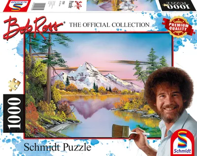Produktbild von Spiegelungen