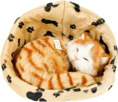 Produktbild von Katze im Korb rot 16 cm Plüschkatze
