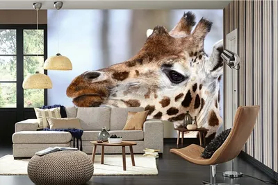 Produktbild von Vlies Fototapete BABY-GIRAFFE 375 x 250 cm (inkl. Kleister) - Vlies Tapete, Wandtapete, Wandbilder - Tapete für Wohnzimmer Schlafzimmer, Büro, Küche - Montagefertig