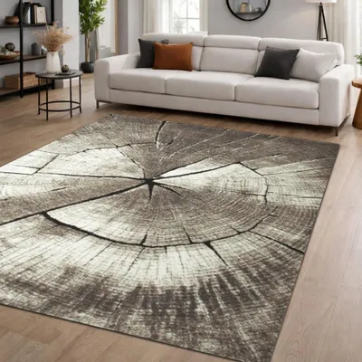 Produktbild von Moderner Teppich Beige Braun Grau Holzoptik Kreis Design weich Wohnzimmer Größe - 120 x 170 cm