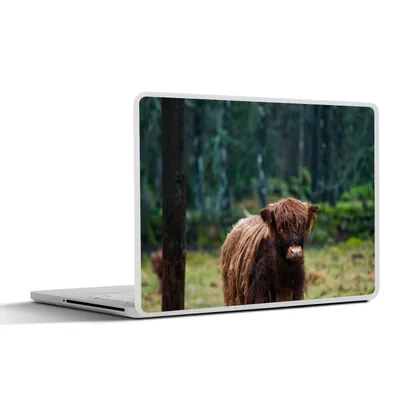 Produktbild von MuchoWow® Laptop Aufkleber Sticker Cover Schottischer Hochländer - Wald - Moos 25x18 cm - Laptop-Deko