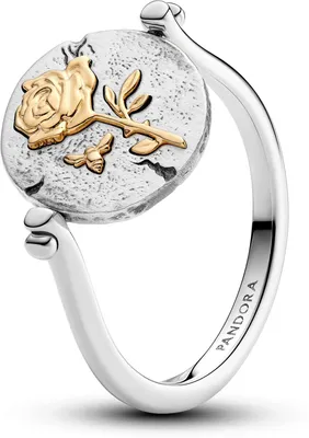 Produktbild von Pandora-Ring, 925Er Silber 164811C00-52