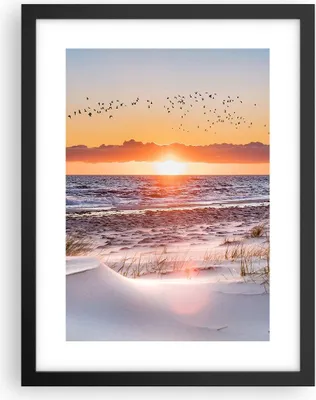 Produktbild von Gerahmtes Poster - Schwarzer Rahmen - Sonne Strand Vögel - 30x40 cm - Wand Bild - Wanddeko - Wandbilder - Kunstposter - Wandposter - Bilderrahmen - Bilder - Kunstdruck - P2BPA30x40-4727