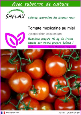Image de SAFLAX  - Tomate mexicaine au miel - 10 graines - Avec substrat - Lycopersicon